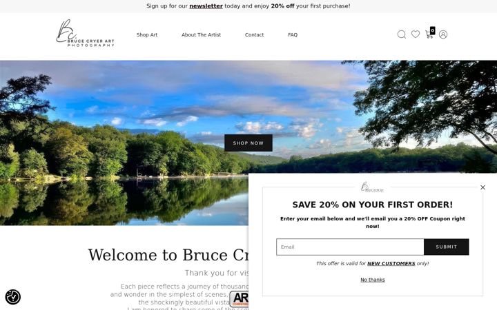Screenshot of brucecryer.art