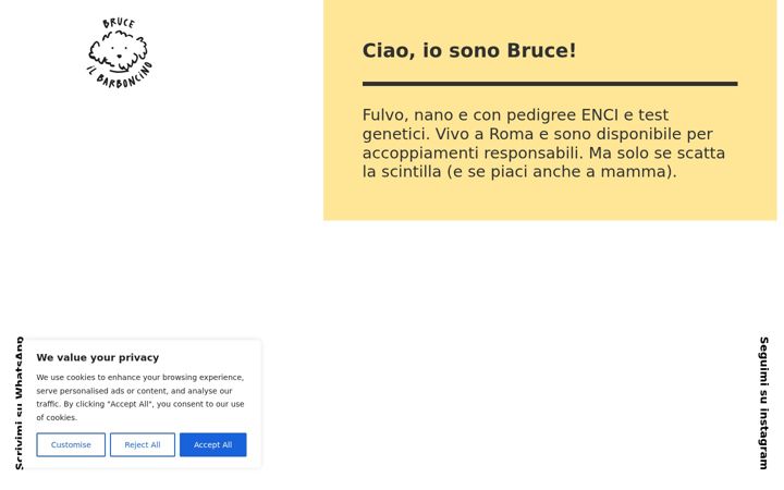 Screenshot of bruceilbarboncino.it