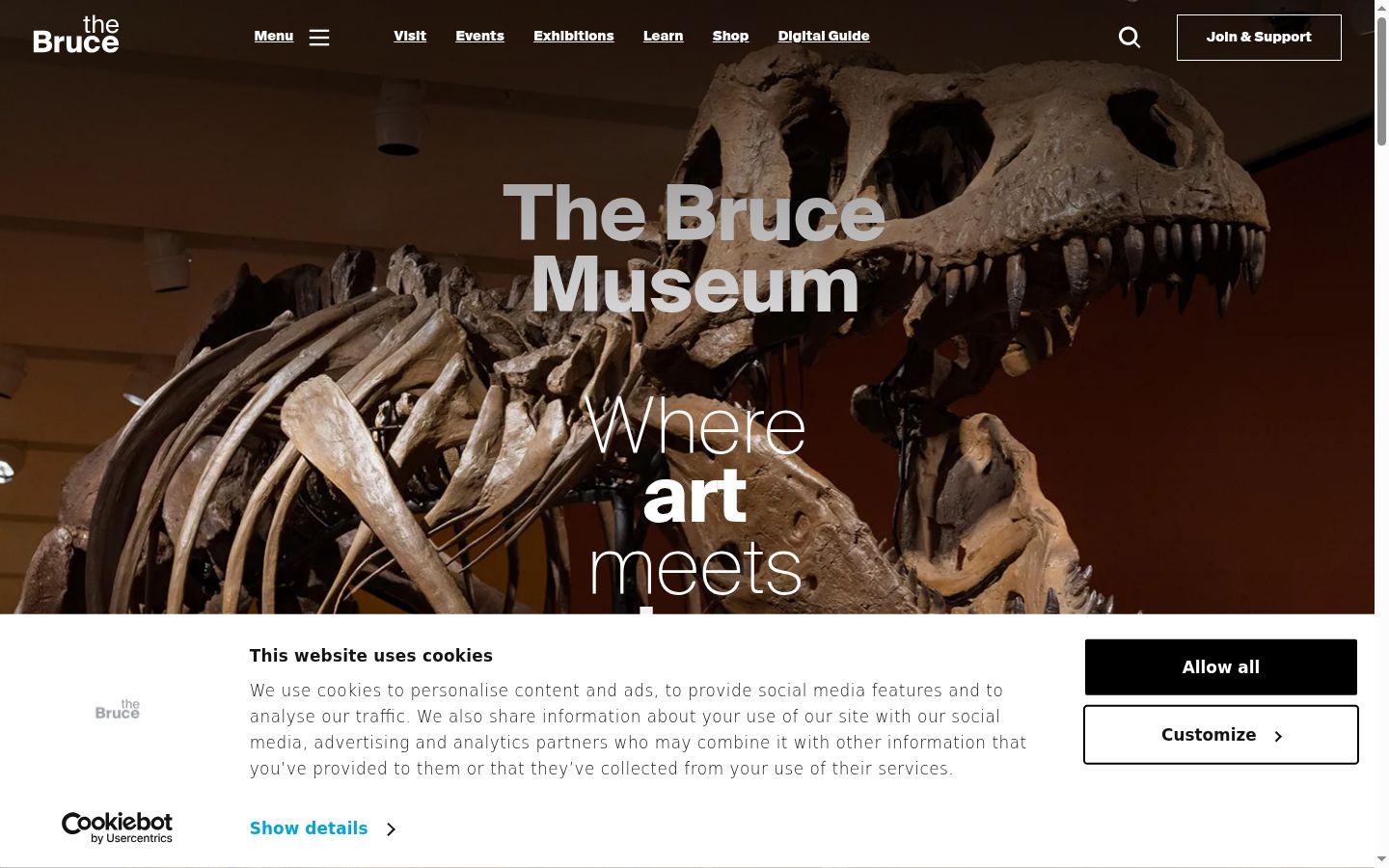 Screenshot of the consent banner shown before any interaction