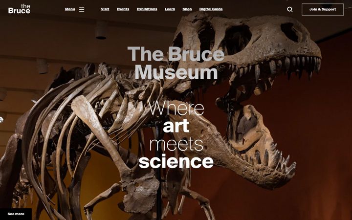 Captura de ecrã de brucemuseum.org