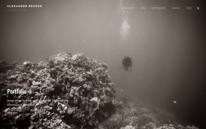 Screenshot of bruder-hb.de