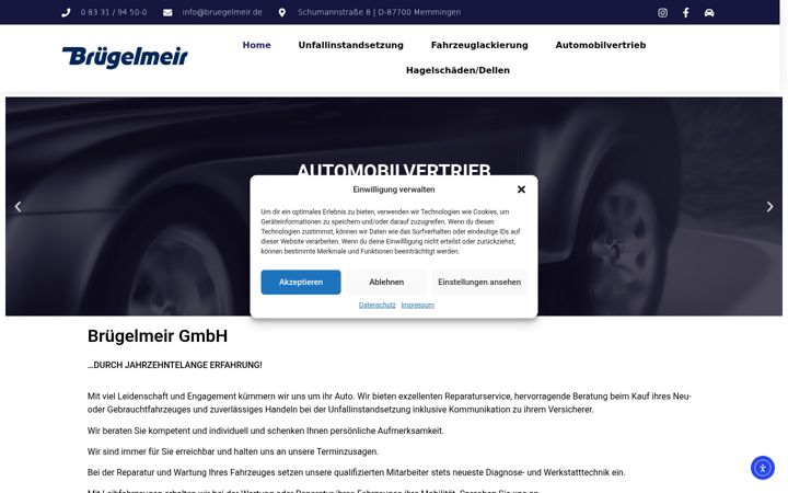 Screenshot of bruegelmeir.com
