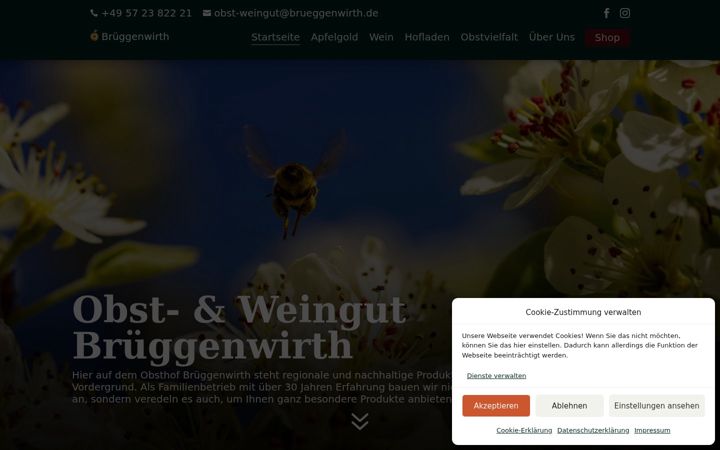 Screenshot of brueggenwirth.de