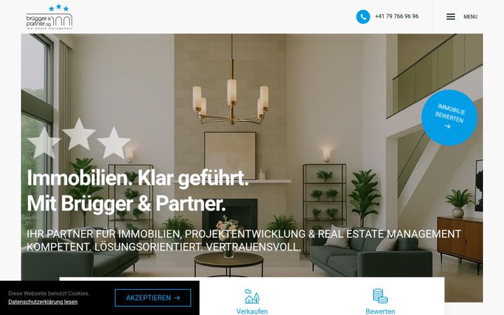 Skærmbillede af brueggerpartner.com
