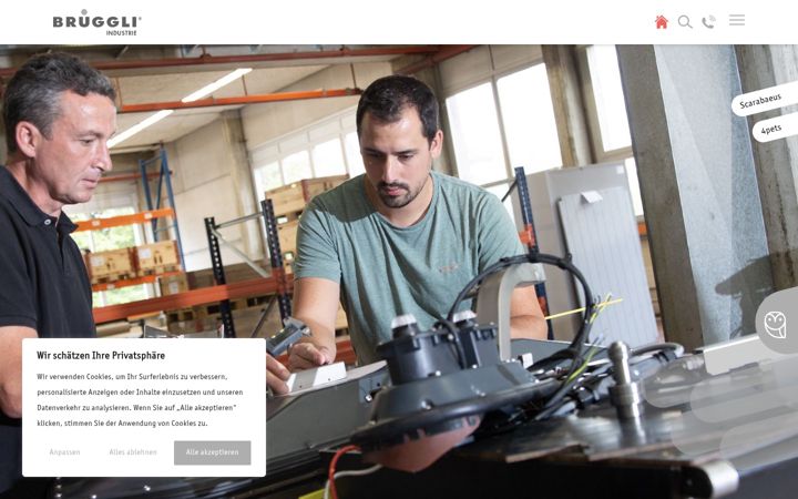 Screenshot of brueggli-industrie.ch