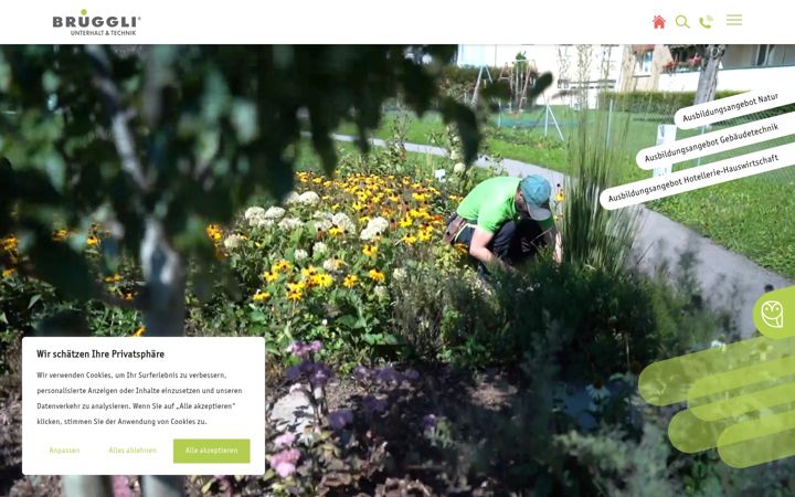 Screenshot of brueggli-unterhalttechnik.ch