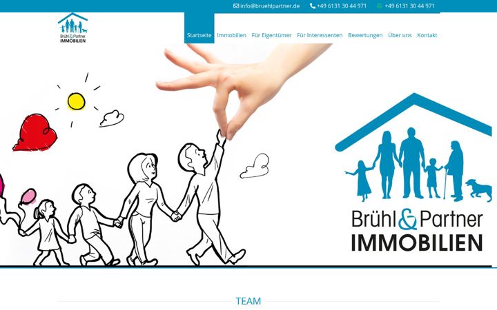 Screenshot of bruehlpartner.de