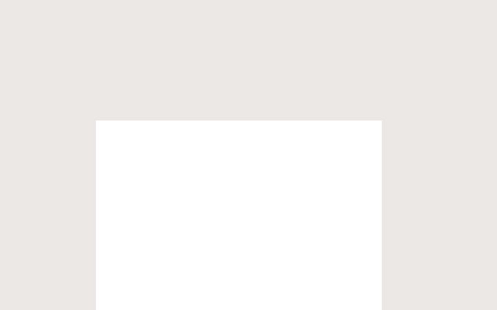 Screenshot of bruellco.com