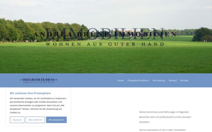 Screenshot of bruene-immobilien.de