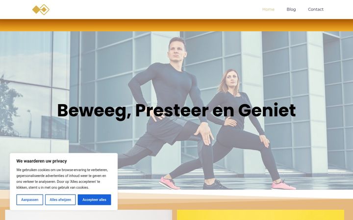 Skjámynd af bruinenfit.nl