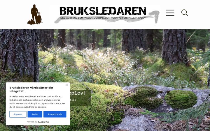 Screenshot of bruksledaren.se