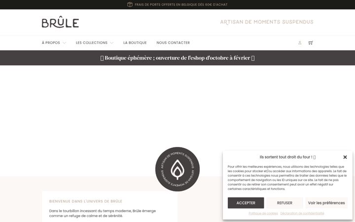 Screenshot of brule.be