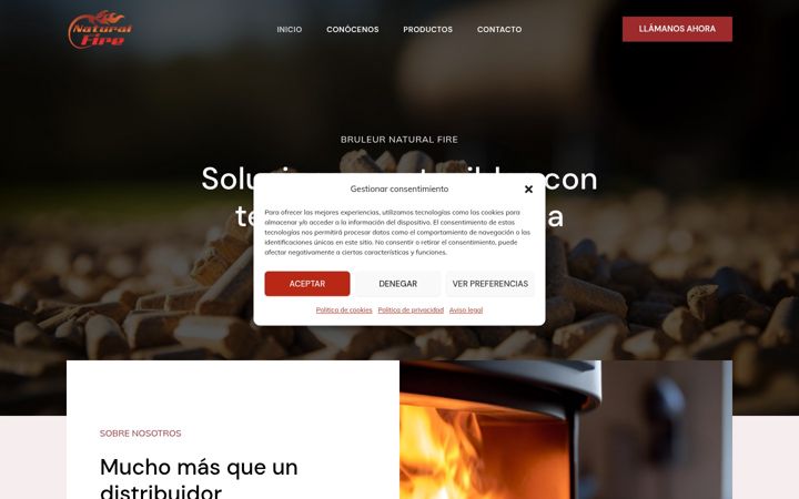 Screenshot of bruleurnaturalfire.com