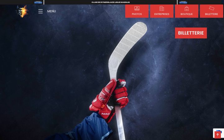 Screenshot of bruleursdeloups.fr