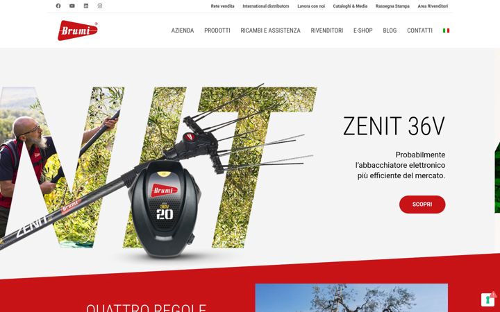 Screenshot of brumi.it