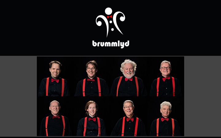 Screenshot of brummlyd.no