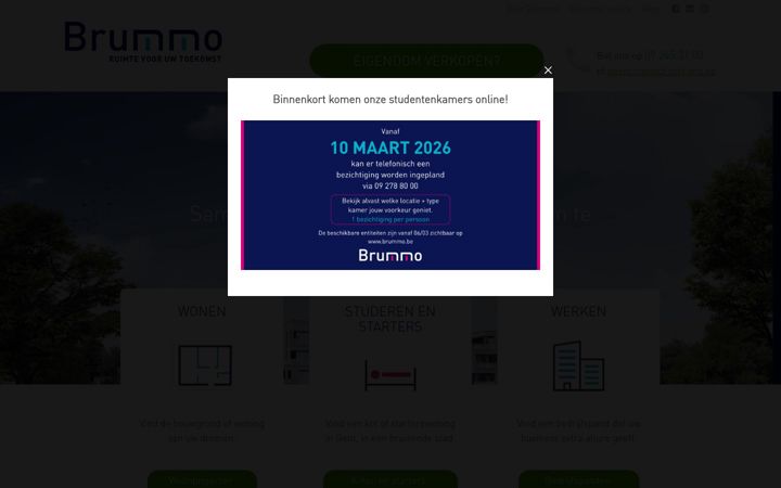 Screenshot of brummo.be