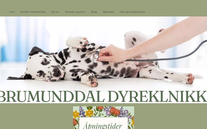Screenshot ta' brumunddaldyreklinikk.no