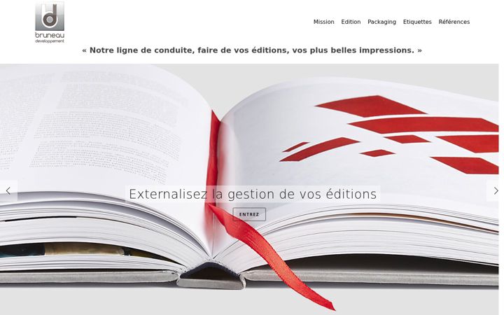 Screenshot of bruneau-developpement.fr