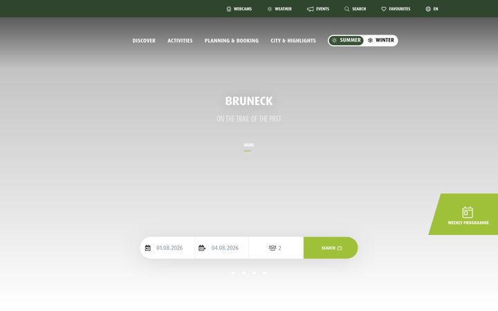 Screenshot of bruneck.com