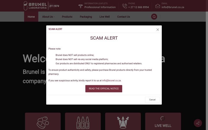 Screenshot of brunel.co.za