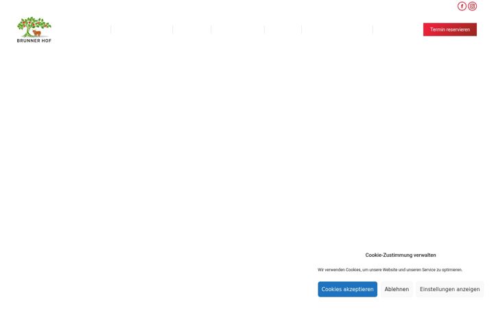 Screenshot von brunn-hof.de