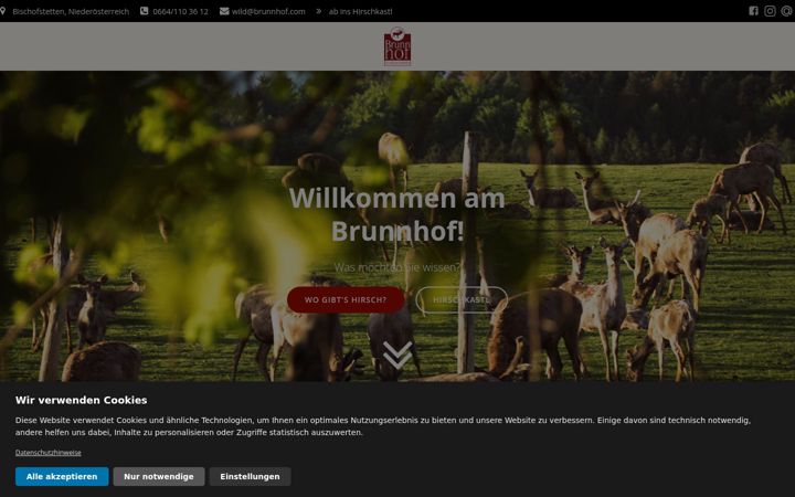 Screenshot of brunnhof.com