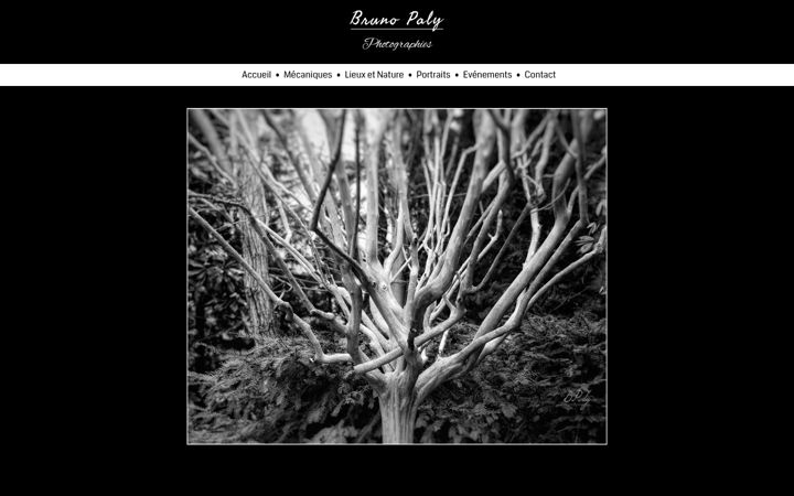 Screenshot of bruno-paly.fr