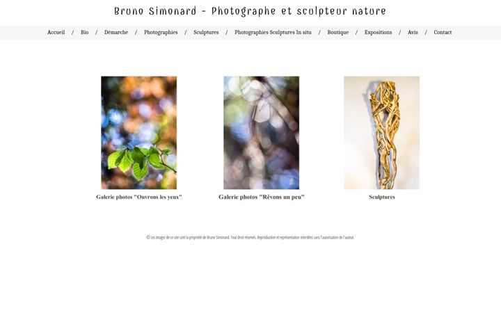 Screenshot of bruno-simonard.com