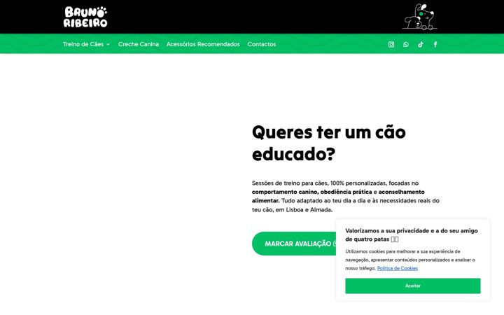 Captura de pantalla de brunoacribeiro.com