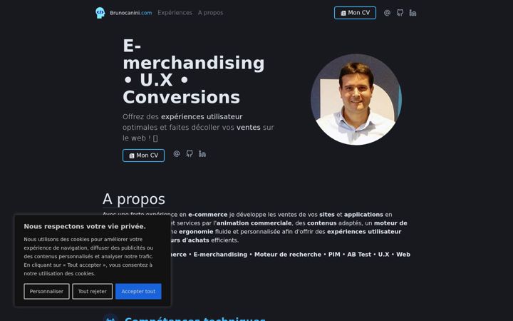 Screenshot of brunocanini.com