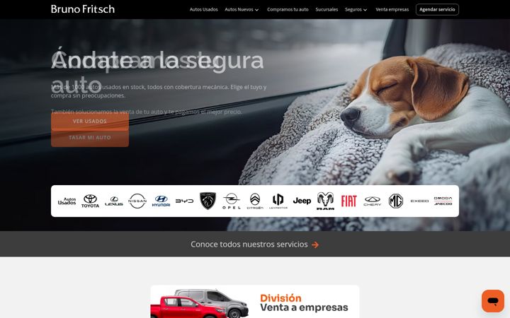 Screenshot of brunofritsch.cl