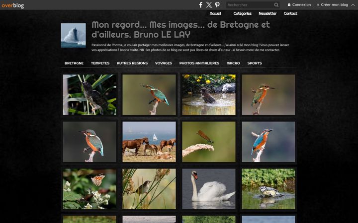 Screenshot of brunolelayphotographe.com