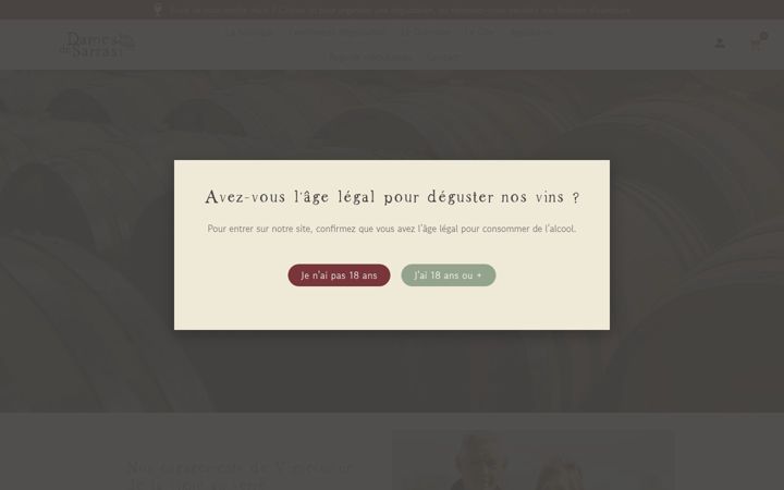 Screenshot of brunomontels.com