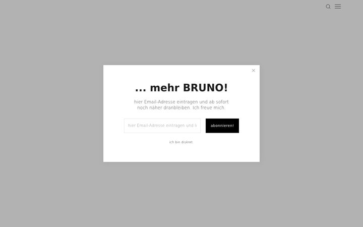Screenshot stránky brunoschulz.de