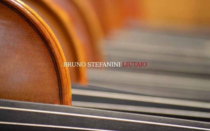 Screenshot of brunostefanini.it