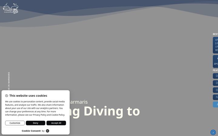 Screenshot of bruskova.com