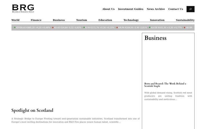 Screenshot of brusselsresearchgroup.org