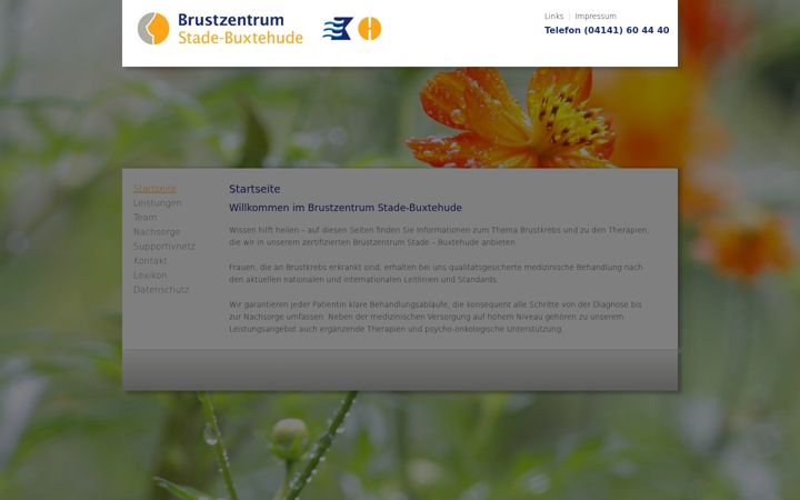 Screenshot of brustzentrum-stade.de