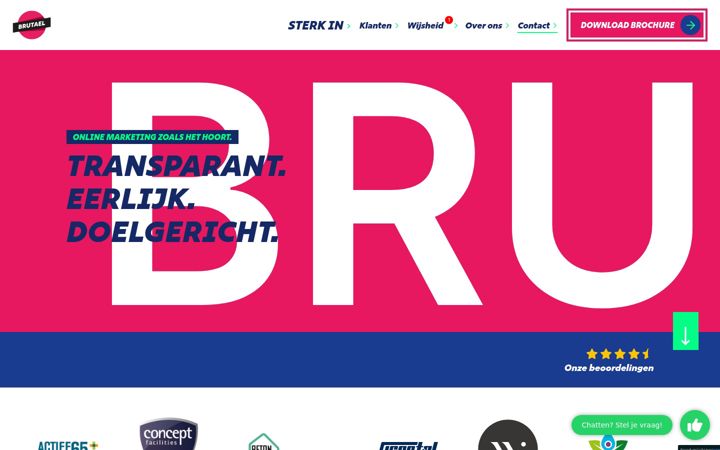 Zrzut ekranu brutael.nl