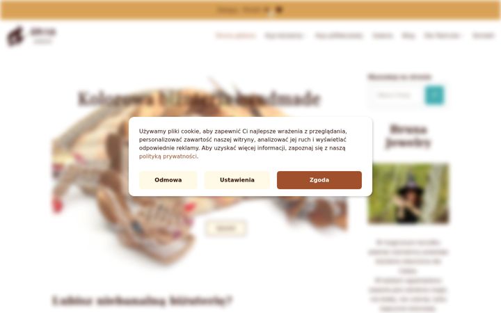 Screenshot van bruxa.pl