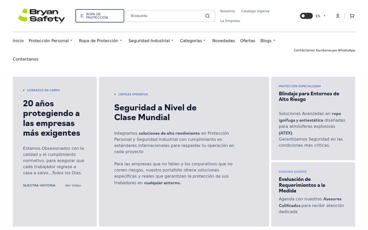 Screenshot of bryansafety.com