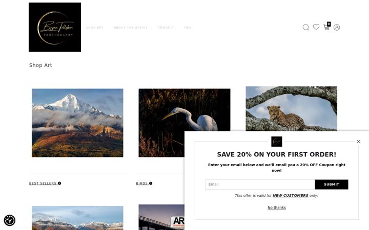 Screenshot of bryantollefsonphotography.com