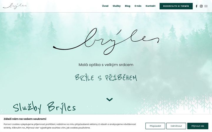 Screenshot of bryles.cz