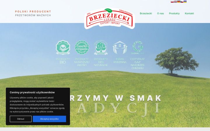 Screenshot van brzeziecki.pl