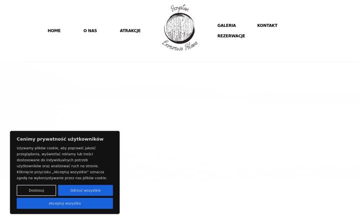 Screenshot of brzozowa-polana.pl