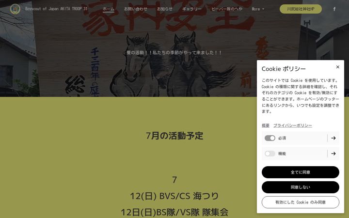 Screenshot of bsakitatroop31.org