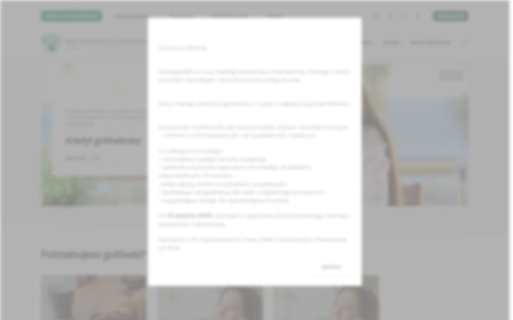Screenshot of bsbrzeznica.pl