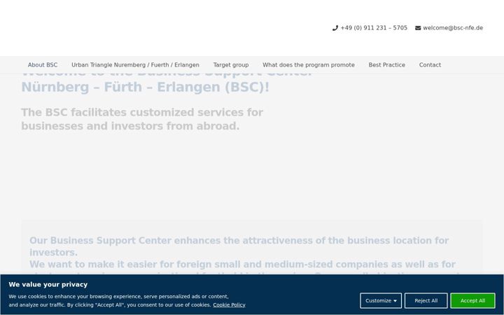 Screenshot του bsc-nfe.de