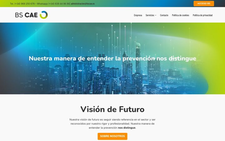 Screenshot of bscae.es